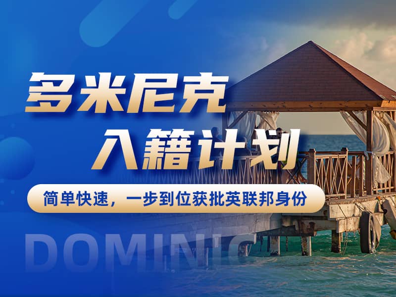 多米尼克入籍妄想